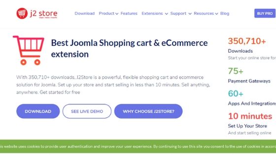 best eCommerce platforms to start your online businesses
