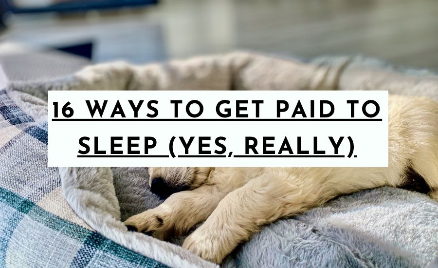 16 Ways to Get Paid to Sleep (Yes, Really)